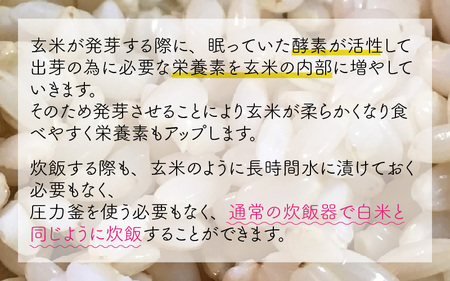 【令和5年産】【発芽玄米】無農薬コシヒカリ特選 真空パック5kg～玄米以上の栄養価と白米に近い柔らかさ～ [A-2923]