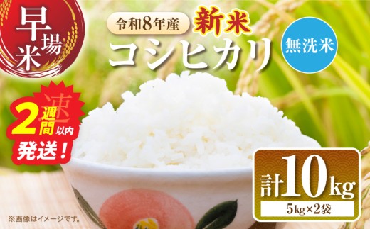 2週間以内に発送 無洗米 令和8年産 新米 コシヒカリ 10kg お米 ご飯 ライス 国産 期間限定 人気 食品 白米 こしひかり 2026年 おにぎり お弁当 雑炊 ギフト プレゼント 贈り物 お取り寄せ 産地直送 選べる 宮崎県 日南市 送料無料_DB51-26