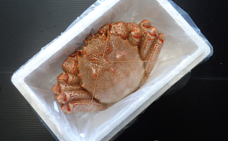 ＜12月8日決済分まで年内配送＞ボイル毛がに600～750g×1尾 C-11033