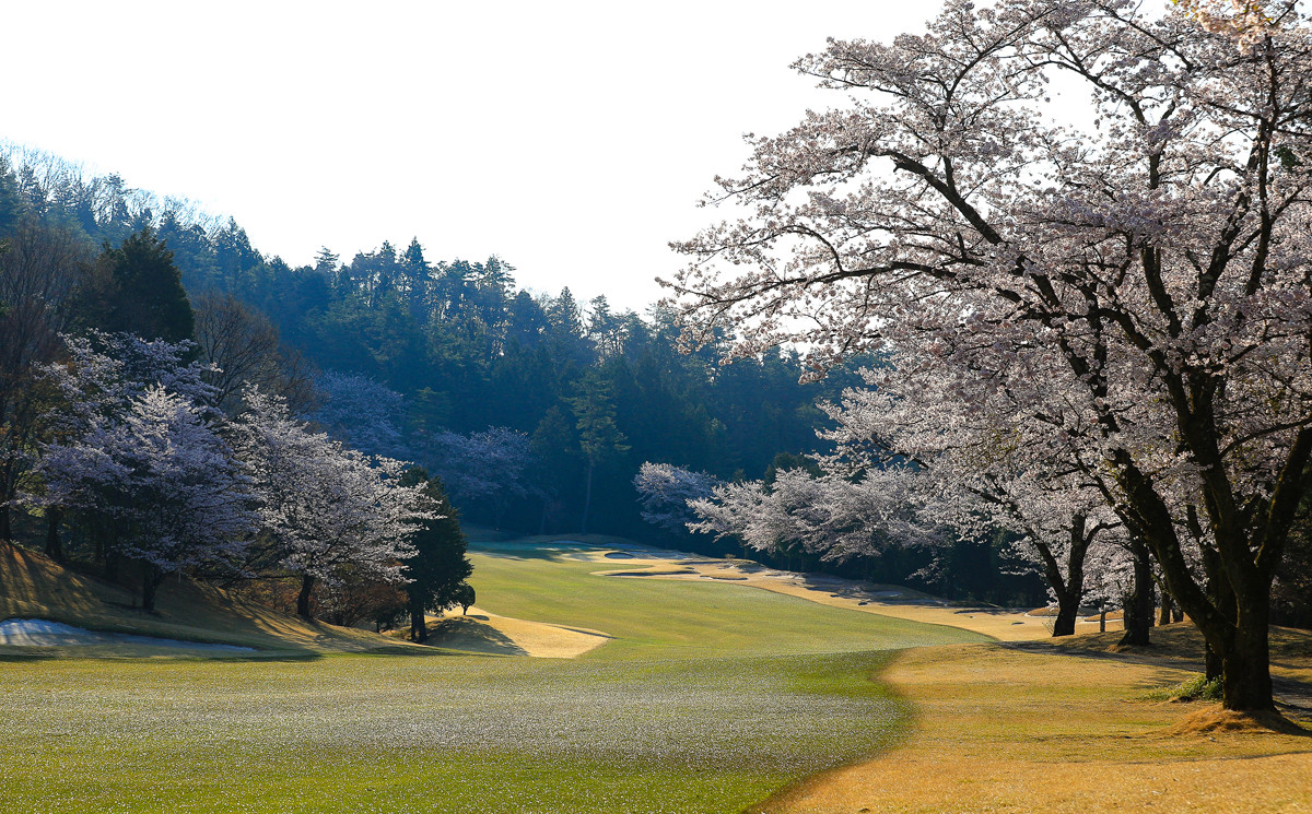 四季折々のお花を楽しめます。