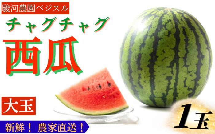 
                  【 先行予約 2026年 8月 発送】 チャグチャグスイカ 2L 7kg 以上 1玉 【駿河農園ベジスル】 滝沢スイカ すいか スイカ 西瓜 1玉 １玉 ２L 大玉 夏 風物詩 定番 旬 フルーツ 果物 くだもの 人気 美味しい 甘い おすすめ オススメ 産地直送 国産 岩手県産 オススメ おすすめ
                