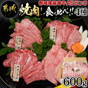 【ふるさと納税】≪A5ランク≫都城産宮崎牛食べ比べ焼肉4種セット(真空) - 都城産宮崎牛 焼肉 6種の中からお任せ4種 部位お任せ 牛肉 冷凍 NiQLL ニクル 送料無料 AC-I501【宮崎県都城市は2年連続ふるさと納税日本一！】