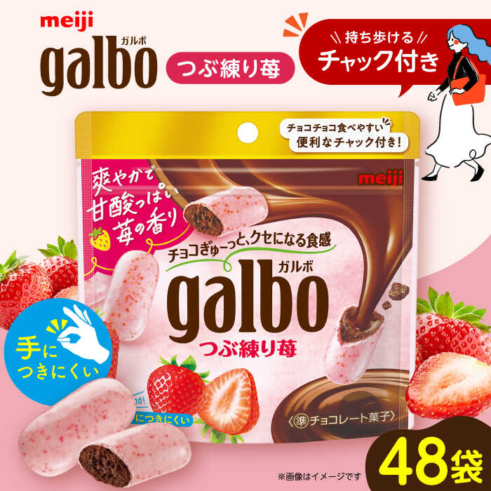 【ふるさと納税】明治 ガルボつぶ練り苺パウチ 58g×48袋セット チョコレート 明治 ガルボ チョコ 大容量 バレンタイン 大阪府高槻市/株式会社 丸正高木商店[AOAA029]
