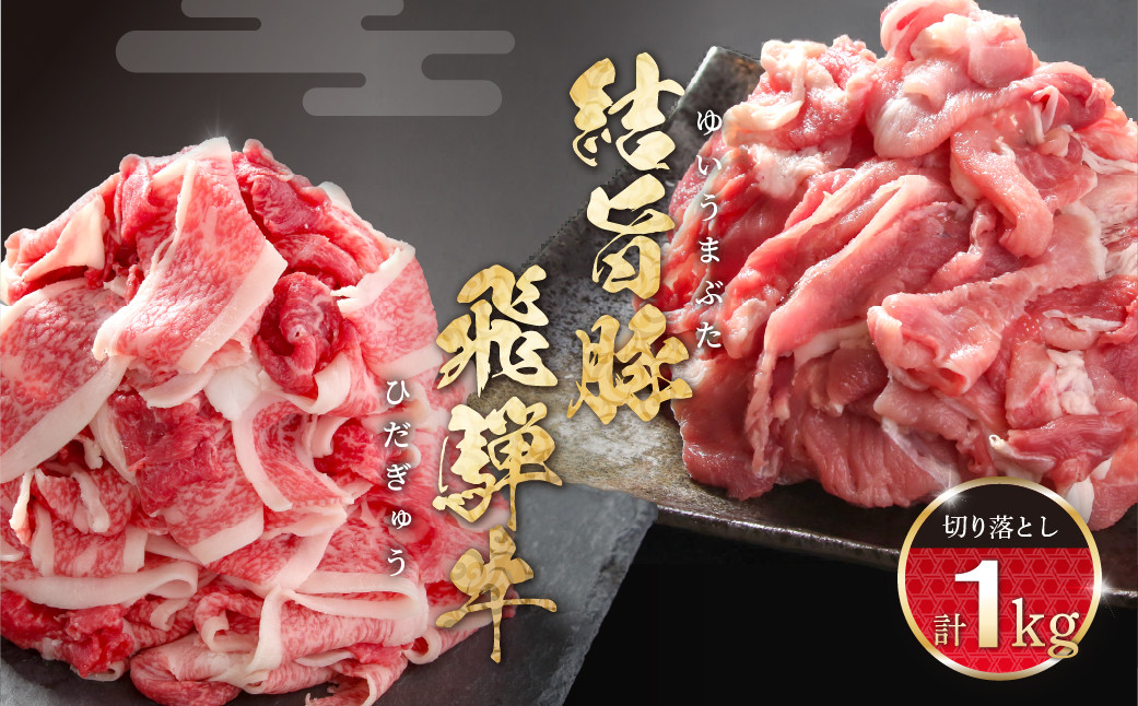 
            訳あり 飛騨牛 切落とし 500g 結旨豚 切落し 500g 冷凍真空パック | 肉 お肉 切り落とし すき焼き すきやき 黒毛和牛 和牛 人気 おすすめ 牛肉 豚肉 食べ比べ セット ギフト お取り寄せ【MS022】
          