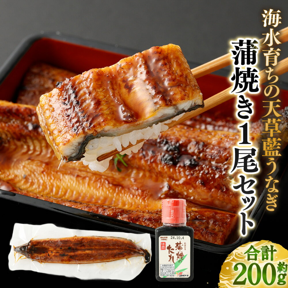 【ふるさと納税】海水育ちの天草藍うなぎ 蒲焼き 1尾 特選だれ付き セット 合計：約200g ニホンウナギ うなぎ 鰻 蒲焼 魚介類 水産物 さかな 惣菜 ひつまぶし グルメ ギフト 贈答 丑の日 冷凍 熊本県産 国産 九州 熊本県 送料無料