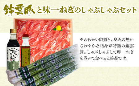 錦雲豚・味一ねぎしゃぶセット しゃぶしゃぶ肉 バラ・ロース 800ｇ 味一ねぎ100ｇ×5束 かぼすポン酢しょうゆ しゃぶしゃぶ用たれ