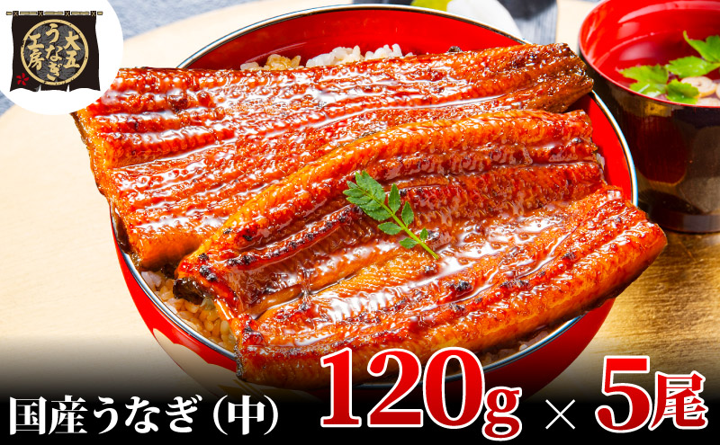 【期間限定9月30日までの特別価格！】うなぎ蒲焼 120g×5尾(600g) うなぎ ウナギ 鰻 蒲焼 蒲焼き冷凍 国産 大五 大五通商 静岡 島田市