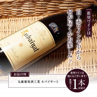 ふるさと納税 甲州市 勝沼ぶどうの丘推奨一升瓶ワイン　1.8L×1本(KBO)B-650 |  | 01
