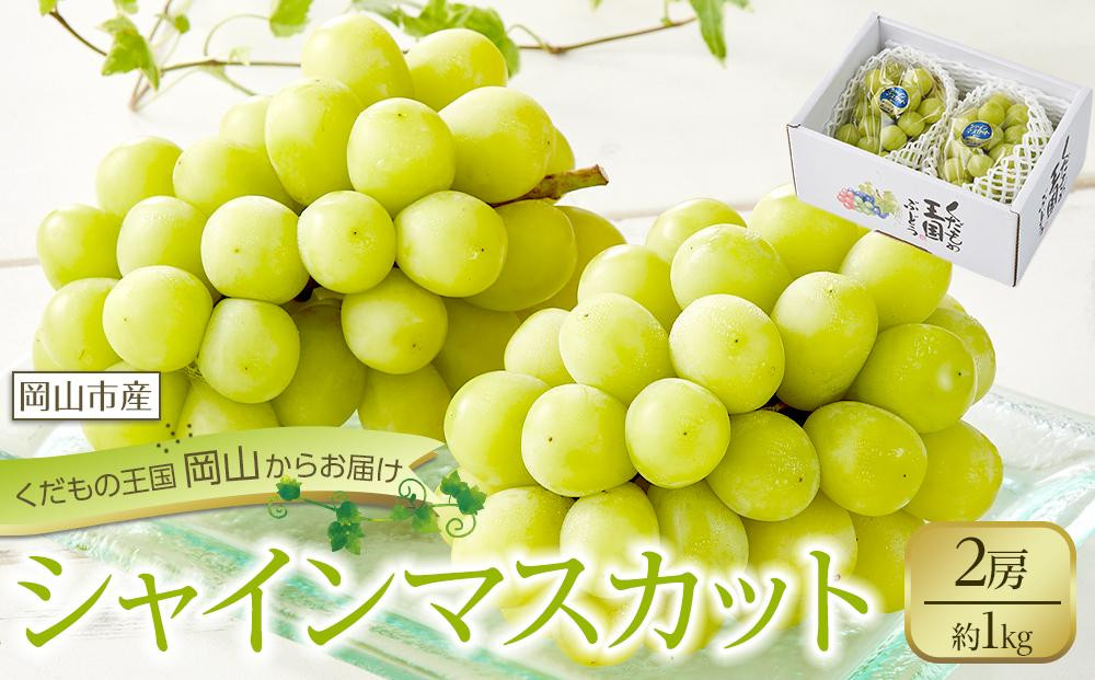 
ぶどう 2025年 先行予約 シャイン マスカット 2房 合計約1kg 種無し ブドウ 葡萄 岡山市産 国産 フルーツ 果物 渡邊農園
