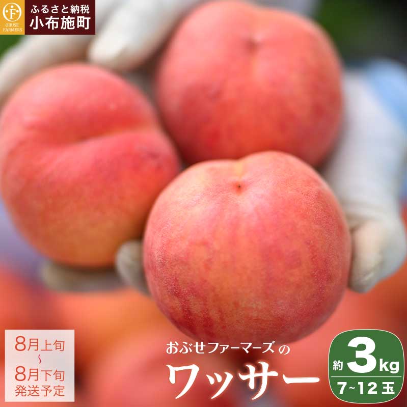 【ふるさと納税】ワッサー 約3kg 7～12玉 ［おぶせファーマーズ］果物 フルーツ 先行予約 長野県産 信州産 先行予約 数量限定 クール便 冷蔵便 お取り寄せ 産地直送 送料無料 令和7年産【2025年8月上旬〜下旬発送】