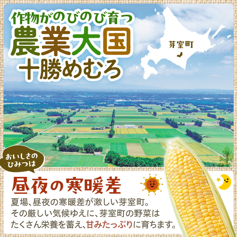 【2027年産】とかち晴れ 十勝めむろ スイートコーン 13本 meb010-005-27 / ゴールドラッシュ とうもろこし 甘い 人気 朝採り 産地直送 送料無料 北海道 十勝 芽室町