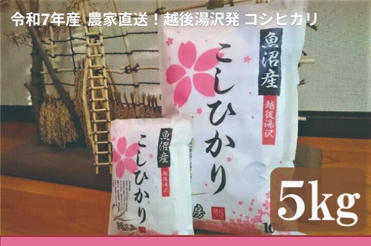 
            令和7年産 白米5㎏ 農家直送！越後湯沢発 さくらファーム 南魚沼最上流域【湯沢産コシヒカリ】
          