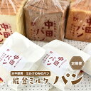 【ふるさと納税】【定期便】中田パン 能登ミルクパン セット×全3回（食パン・チョコ食パン・デニッシュトースト・白パン）｜洋菓子 贈答 ギフト クリーム パン　※北海道・青森・九州（福岡県を除く）・沖縄・離島への配送不可　※2024年5月上旬頃より順次発送予定