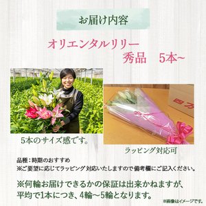 日頃の感謝を「花束」で、オリエンタルリリー【秀品5本】 誕生日 植物 フラワー ギフト プレゼント／Osy-02