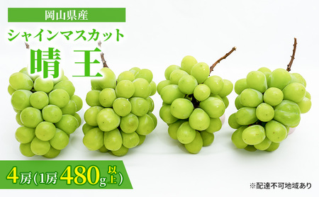 ぶどう シャインマスカット 晴王 2026年 先行予約  4房（1房480g以上）約2kg 
