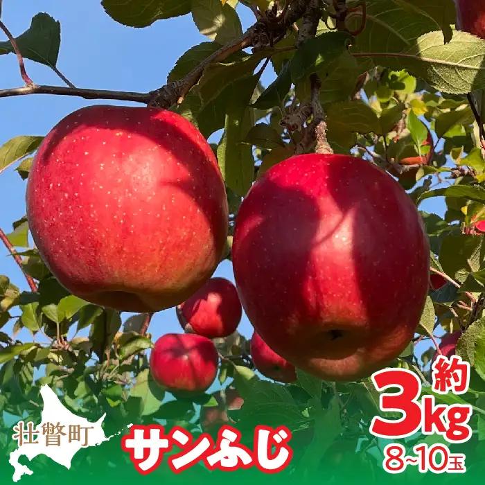【先行予約】北海道壮瞥町産りんご「サンふじ」約3kg(8～10玉)＜2026年12月上旬にお届け＞ SBTF006