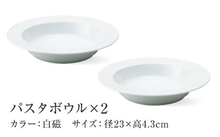 【美濃焼】 miyama.のパスタボウル プルー 白磁 2個 瑞浪市 / ミヤマプランニング 食器 皿 プレート [AZCM054]