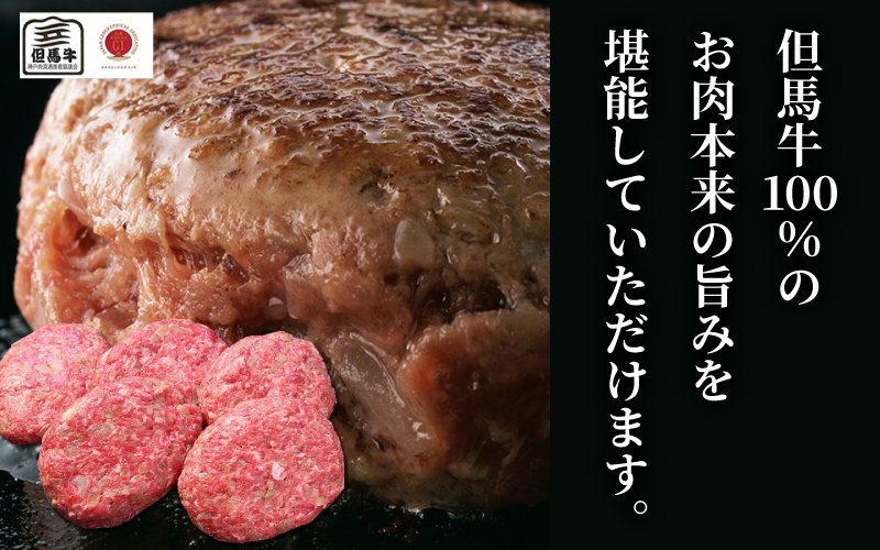 おかず　但馬牛ハンバーグ　福井県高浜町　つなぎ不使用100%　但馬牛ハンバーグ　5個セット　冷凍