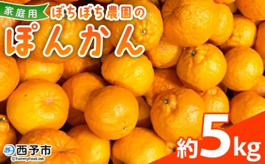 ＜ぼちぼち農園のぽんかん 家庭用 約5kg＞ 5キロ ぽんかん ポンカン 訳あり わけあり ワケアリ 果物 みかん ミカン 柑橘 フルーツ 生産量日本一 国産 特産品 ぼちぼち農園 愛媛県 西予市【常温】『2026年1月～2月迄に順次出荷予定』