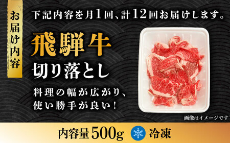 【12回定期便】飛騨牛切り落とし 500g【肉の丸長】 和牛 ブランド牛 国産  [TAZ014]