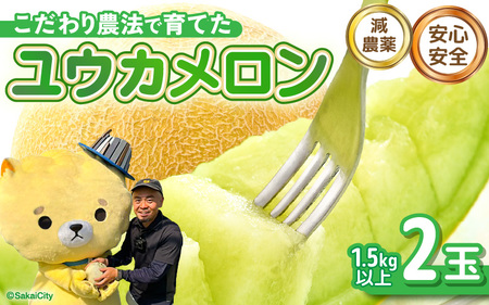 【先行予約】 安心安全！減農薬！こだわり農法で育てた ユウカメロン 2玉 (1玉あたり：1.5kg以上) 【2026年6月中旬以降順次発送予定】 【メロン めろん フルーツ デザート 果物 くだもの 果実 糖度 甘い 産地直送 国産】 [B-21203]