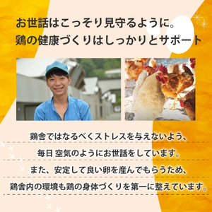 JK-03　のびのび育ちの平飼い有精卵30個