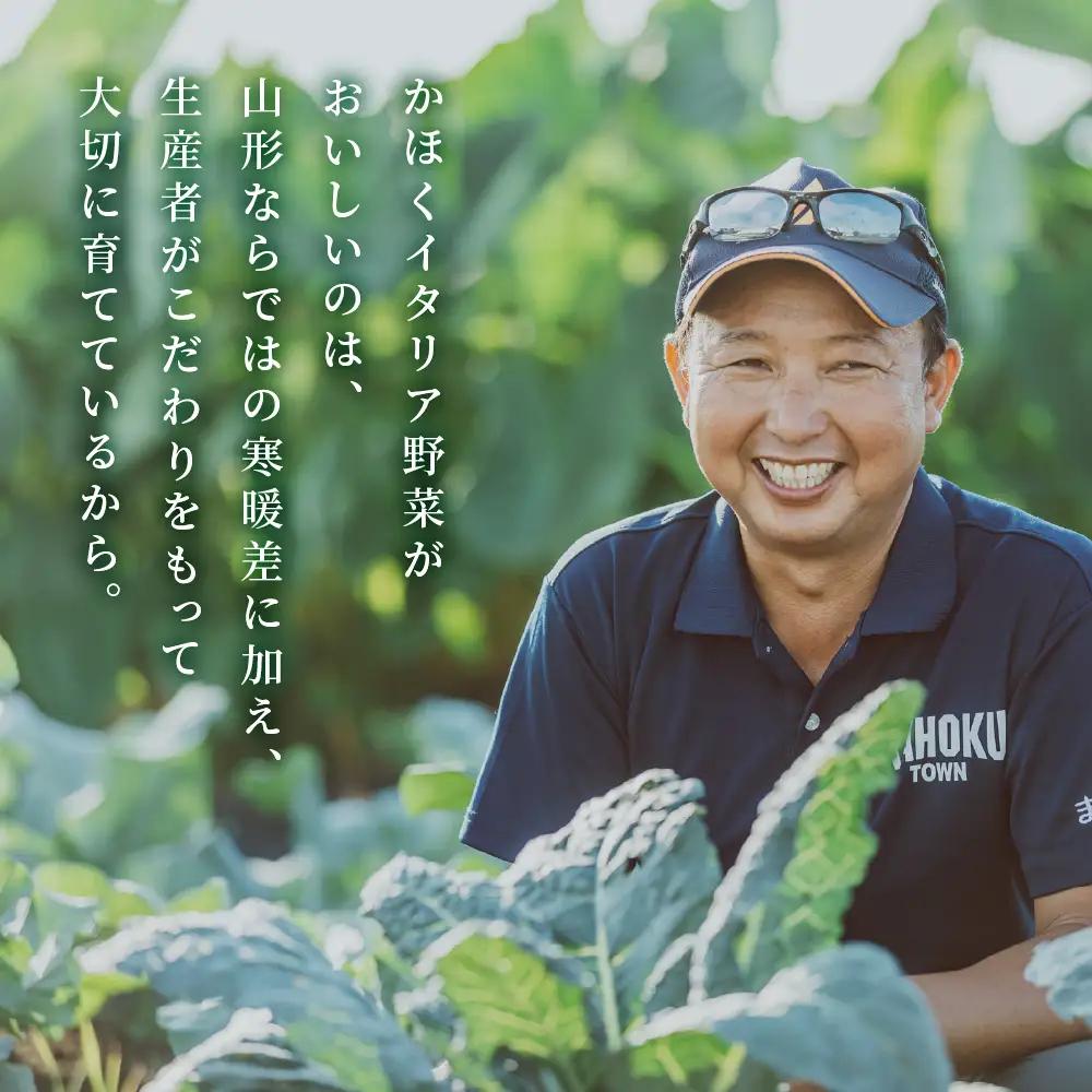 野菜 かほくイタリア野菜 旬のおまかせBOX 5-8種 野菜