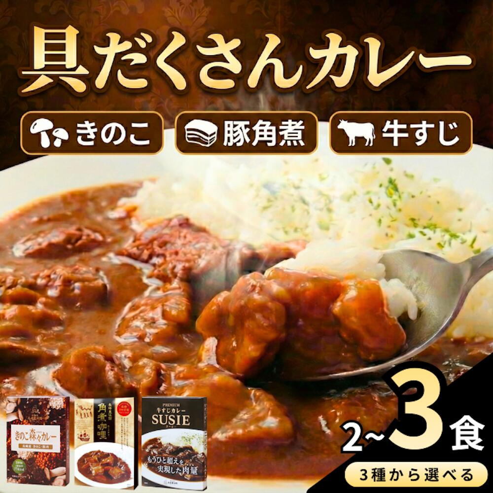 【ふるさと納税】【選べる高級レトルトカレー 】長崎豊味館（きのこ森々カレー・角煮カレーセット・牛すじカレー SUSIE） ギフト 贈答 長期保存可能 常温 レトルト食品 レトルトカレー ビーフカレー 欧風カレー スパイス お中元 お歳暮 高級カレー 豊味館　5000円　2～3食