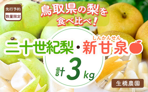 新甘泉と二十世紀梨の食べ比べセット 3kg【鳥取県産】（生橋農園） 鳥取 梨 3kg 果物 フルーツ 和梨 先行予約 数量限定 詰め合わせ 新甘泉 二十世紀梨 20世紀梨