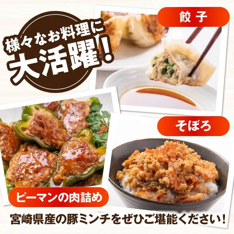 宮崎県産豚ミンチ 2kg_kn126-002-020