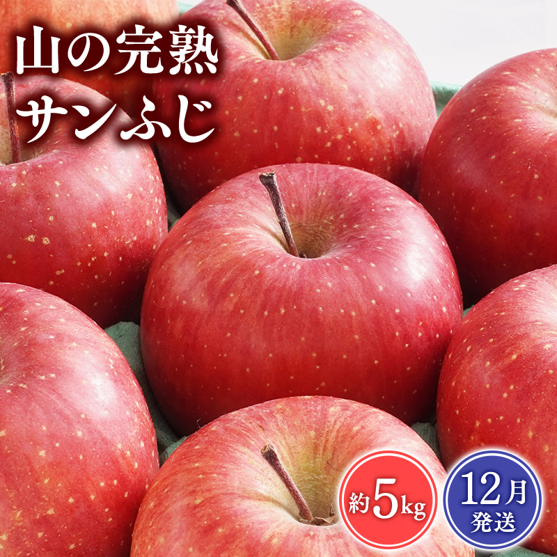 【2025年12月発送】 吹田りんご園 山の完熟サンふじ約5kg 【吹田りんご園・青森りんご・平川市広船産・12月】
