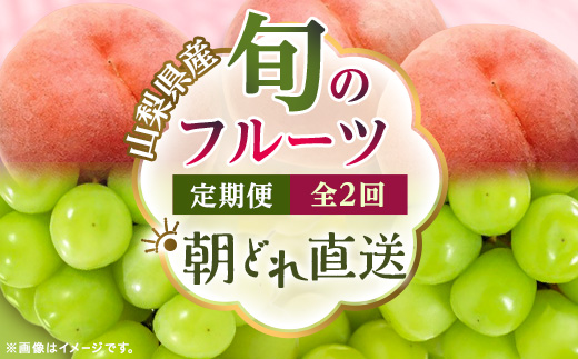 【発送月固定定期便】 旬のフルーツ定期便 桃900g・シャイン500g全2回【配送不可地域：離島・沖縄県】