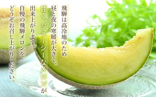 【数量限定】2025年先行予約 飛騨メロン 1玉 ≪8月頃～順次発送≫ | 飛騨高山産 メロン めろん 高冷地 果物 くだもの フルーツ 期間限定 数量限定 飛騨高山 宿儺さま KA012