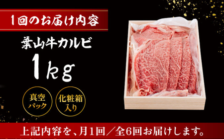 【全6回定期便】 葉山牛 焼肉用カルビ1Kg／ 牛肉 葉山牛 和牛 焼肉 カルビ 【有限会社葉山旭屋牛肉店】[ASAP042]