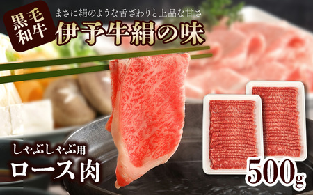 伊予牛絹の味 しゃぶしゃぶ用 ロース 500ｇ (冷凍) ｜ 黒毛和牛 A4～A5