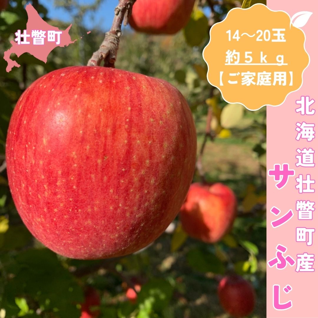 【ふるさと納税】＜11月下旬頃よりお届け＞北海道壮瞥産りんご サンふじ 約5kg(14～20玉)【ご家庭用】 【 ふるさと納税 人気 おすすめ ランキング りんご リンゴ 林檎 ふじ サンふじ 甘い 果物 北海道 壮瞥町 送料無料】 SBTK015