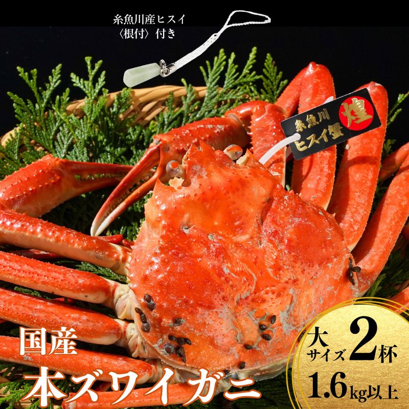 【ふるさと納税】〈期間限定〉本ズワイガニ 大800g以上×2杯 計1.6kg以上 《ヒスイ根付付き》 『煌めき』 姿 蒸し蟹 糸魚川産 鮮度が命！蒸したて直送 ずわいがに かに 蟹 ヒスイ水産 国産 日本海 新潟 新鮮 タグ付き 11月から漁開始 ギフトにも おススメ カニ ヒスイ蟹