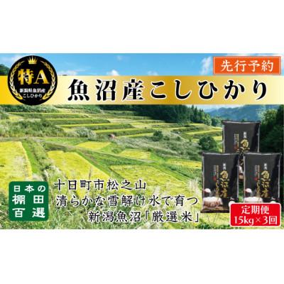 ふるさと納税 十日町市 【発送月固定定期便】先行予約10月より発送【食味鑑定士厳選】棚田百選・魚沼こしひかり 15k全3回
