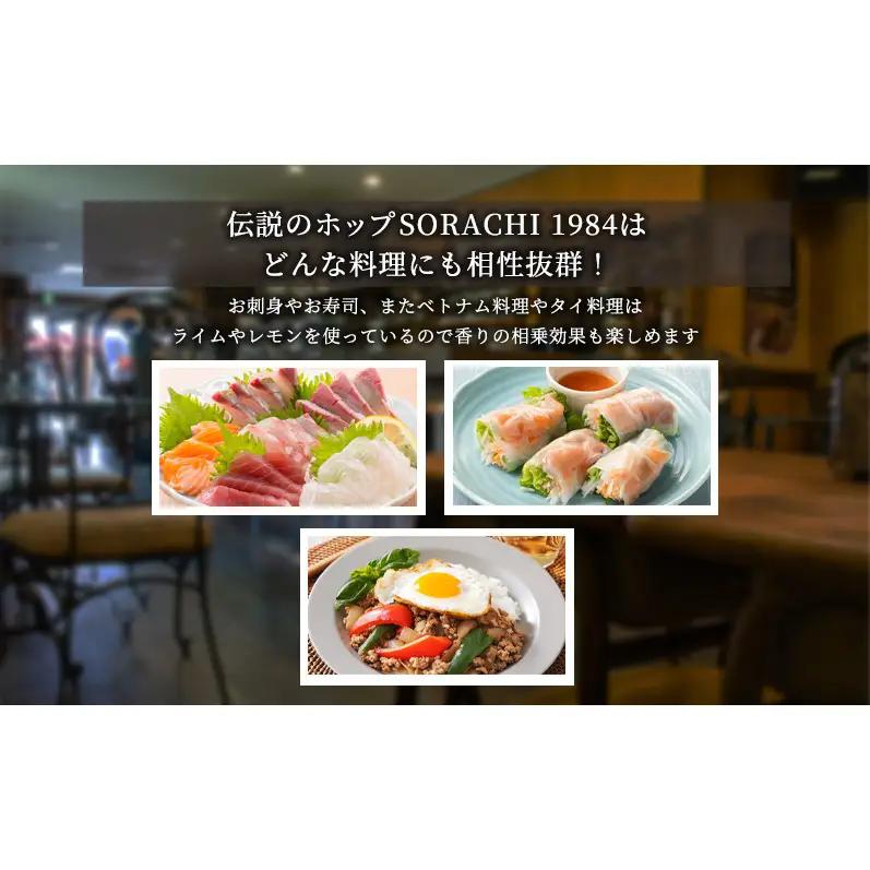 サッポロ SORACHI1984 ソラチ ビール 350ml 24本 缶ビール