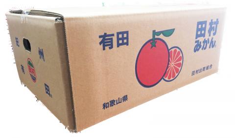 高級ブランド田村みかん　10kg【予約】※2026年11月下旬～2027年1月下旬頃に順次発送予定【uot505A】