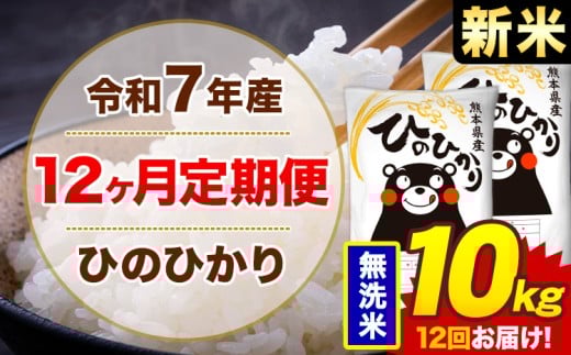 【12ヶ月定期便】新米 令和7年産 無洗米 10kg 米 ひのひかり《1月から出荷開始》熊本県 菊池市 国産 熊本県産 白米 精米 無洗米 送料無料 ヒノヒカリ こめ お米