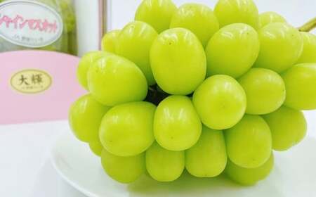 内子町産 シャインマスカット 赤秀 1房入 約750g以上【2026年8月下旬～9月下旬迄発送予定】【えひめの町（超）推し！（内子町）】（447）