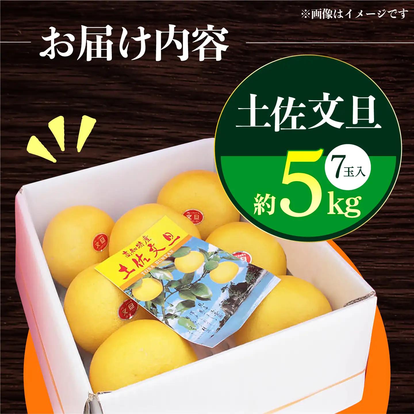 【先行予約】 南国高知温室土佐文旦 約5kg 7玉〈2026年11月中旬〜2027年2月中旬頃発送〉/ 文旦 ぶんたん 5kg 5キロ 温室 果物 フルーツ デザート 柑橘 南国 土佐 高知 名物 名