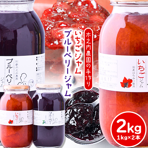 果実ぎっしり！木之内農園の手作りいちごジャムとブルーベリージャム　2kg（1kg×2本）《30日以内に出荷予定(土日祝除く)》 熊本県南阿蘇村 イチゴ 苺 減農薬 大粒 ブルーベリー 乗せるジャム