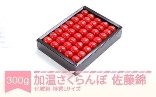先行予約 加温 さくらんぼ 佐藤錦 特秀Lサイズ プレゼント ギフト 化粧箱鏡詰め 300g 2026年産 令和8年産 山形県産 ns-sntlx300
