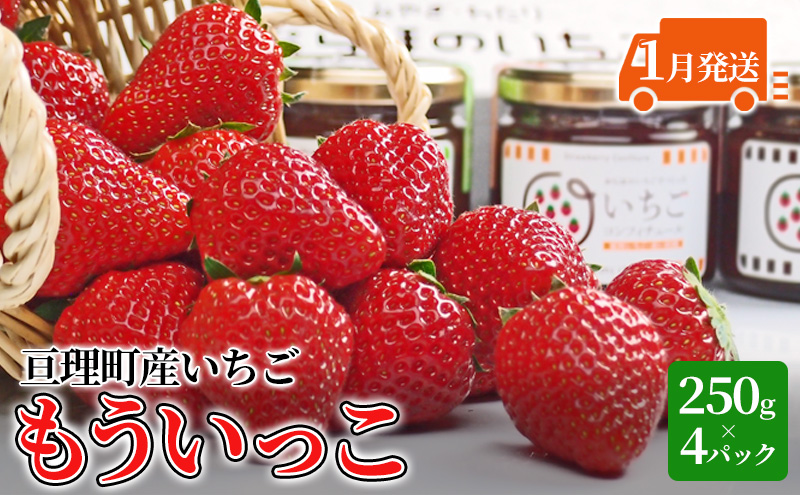 【1月発送】糖度の中に程よい酸味　亘理産おらほのいちご「もういっこ」