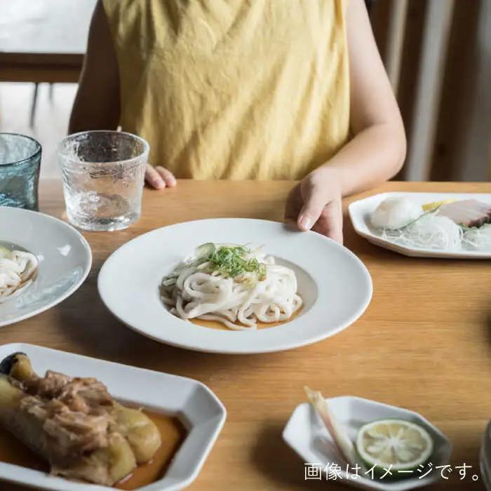 【波佐見焼】ハット深皿 白マット釉 2枚セット 食器 皿【イロドリ】[KE44] 波佐見焼