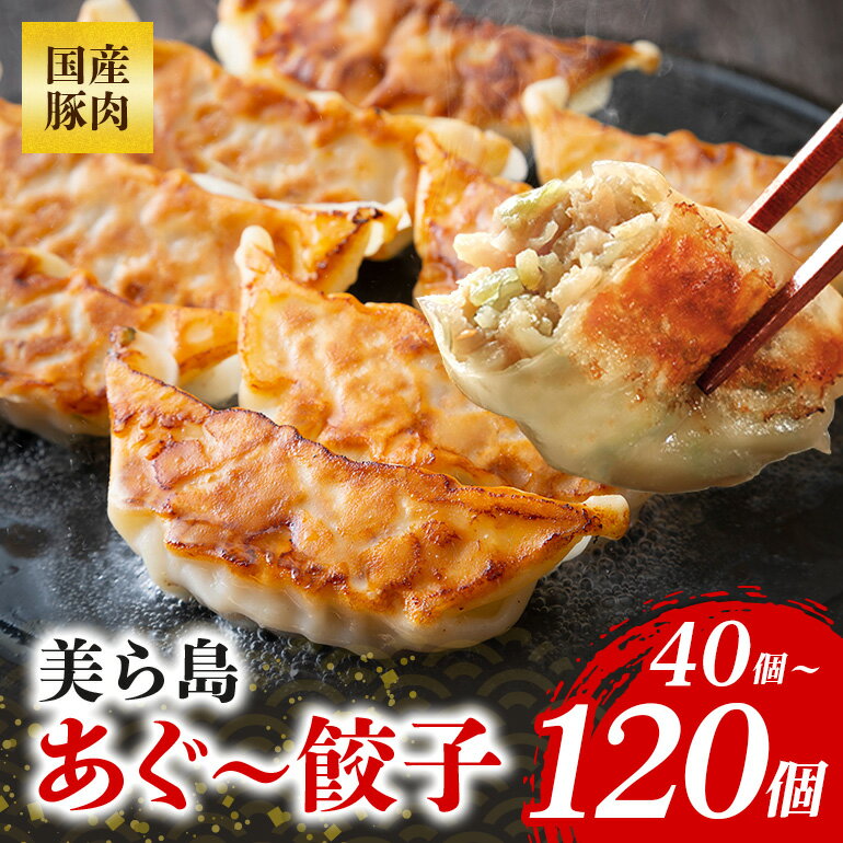 【ふるさと納税】美ら島あぐー餃子 40個～120個セット 20個入/1パック 絶品 こだわり 豚 肉 国産 ごはん おかず お弁当 冷凍 ぎょうざ ギョウザ 小分け BBQ ギョーザ 惣菜 晩酌 ギフト 手作り 生餃子 豚肉 冷凍食品 おつまみ 冷凍餃子 ブランド 総菜 中華 焼き餃子 送料無料