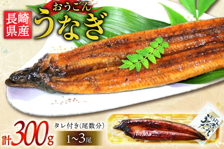 うなぎ 国産 蒲焼 長崎県産 おうごんうなぎ 約300g 1尾～3尾