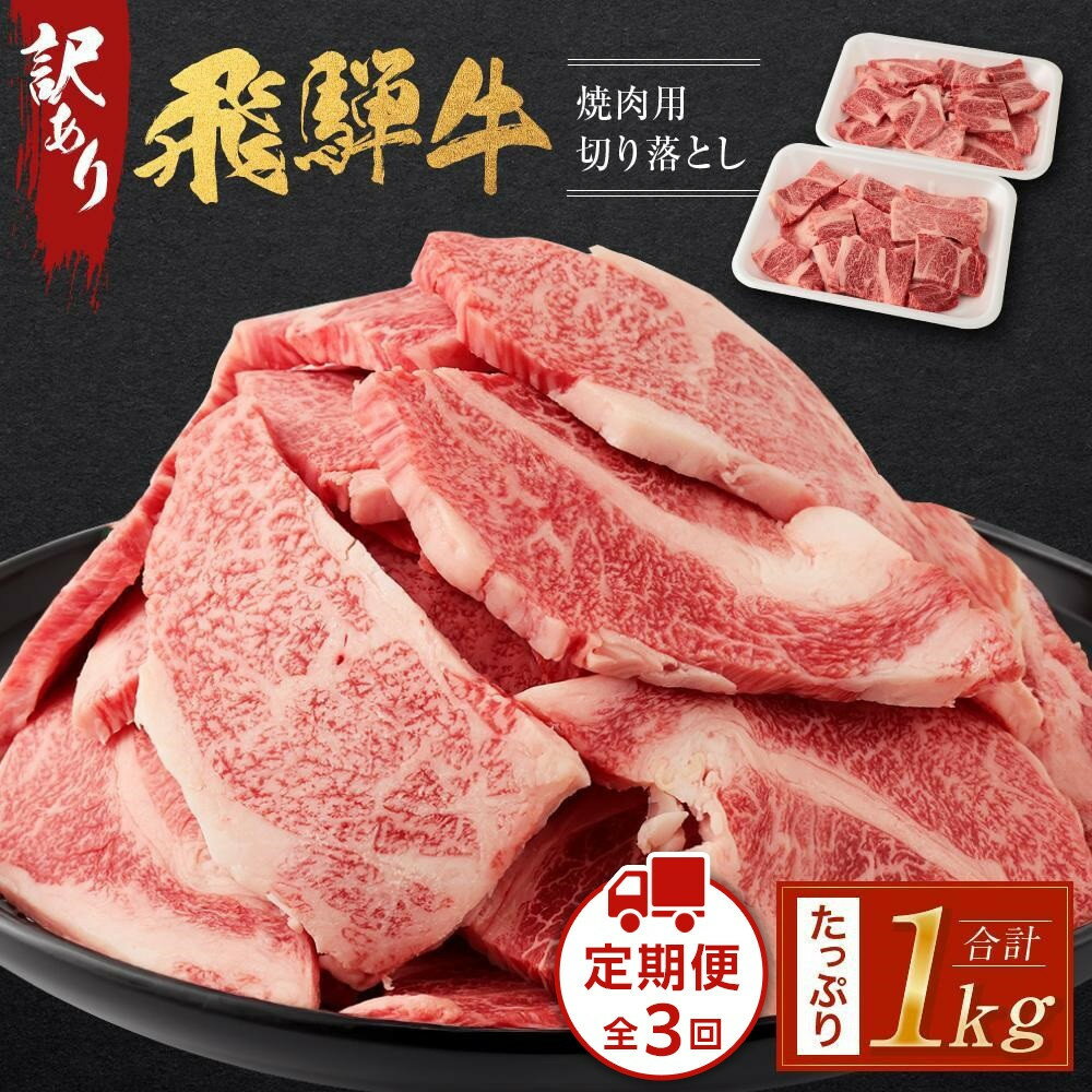 【ふるさと納税】＼注文数急上昇／ 飛騨牛 焼肉用 切り落とし 1kg 通常配送・定期便が選べる 訳あり 不揃い 牛肉 肉 お肉 にく 焼肉 焼き肉 やきにく 切り落し 人気 おすすめ 小分け 個包装 パック BBQ バーベキュー 飛騨高山 岐阜 ギフト 冷凍 ふるさと 肉の匠家 BV027VP